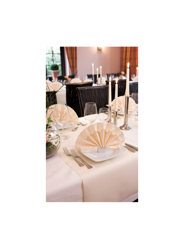 Servetėlė 40x40 cm Elegance Crystal Cream (40)