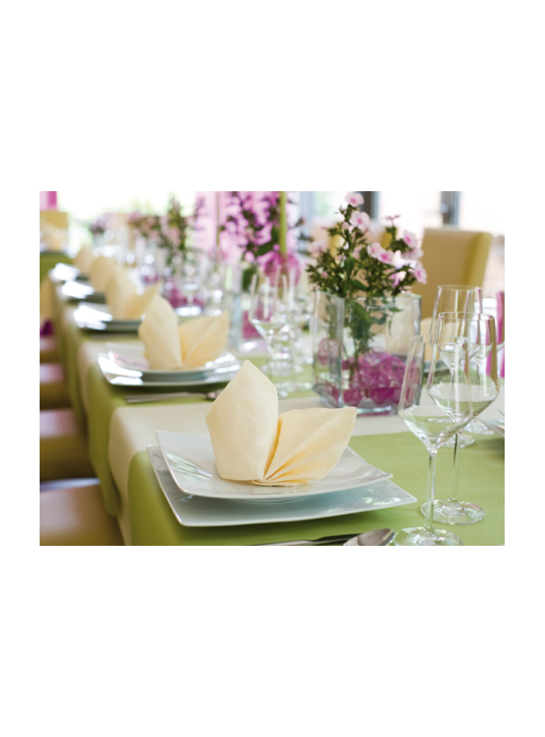 Servetėlė 48x48 cm Elegance Lily Cream (40)