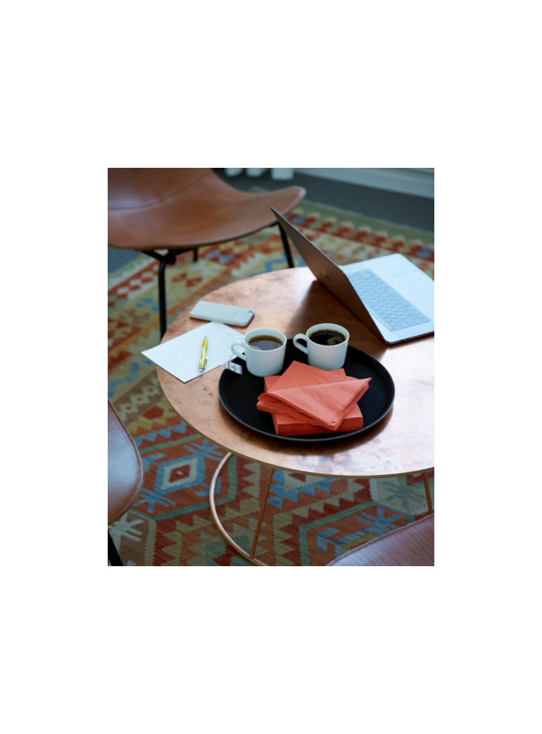 Servetėlės 24x24 cm 3 sl.Terracotta (250)