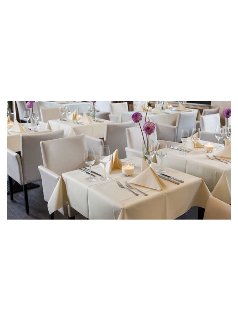 Servetėlės 33x33 cm 3 sl. vanilinės (125)