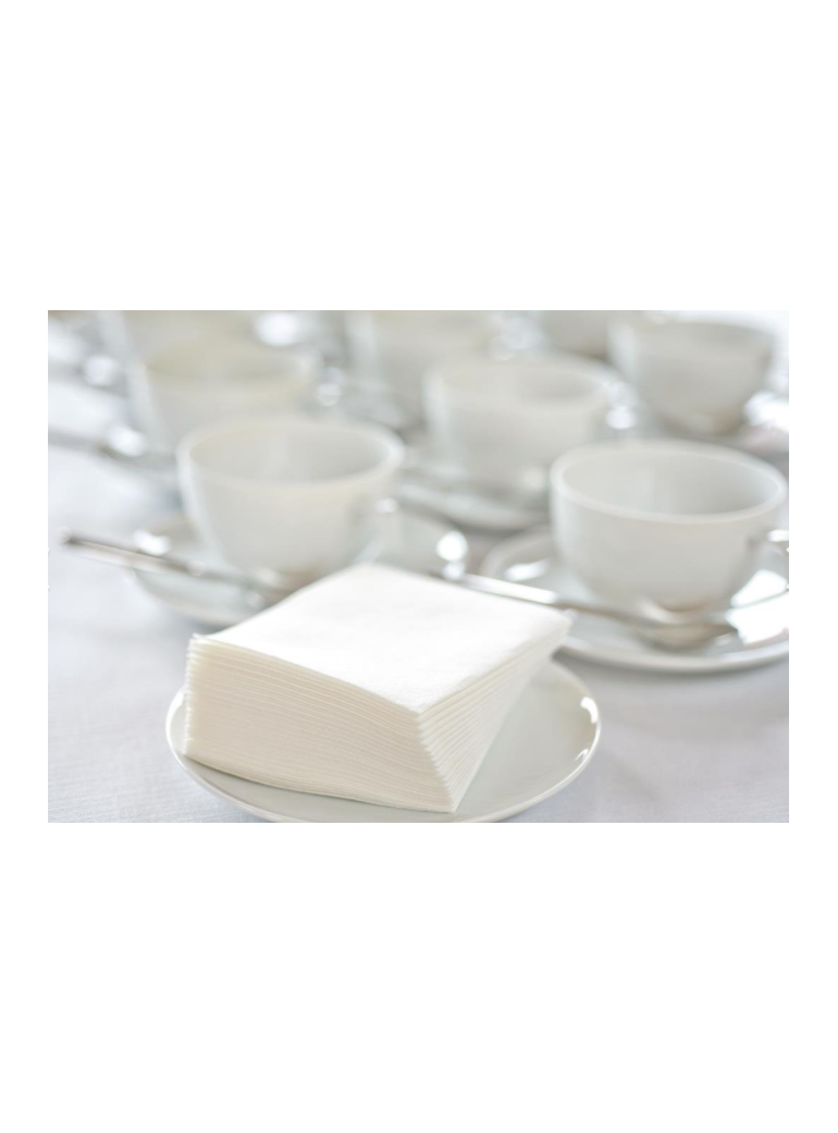 Servetėlės 40x40 cm 2 sl, baltos (125)