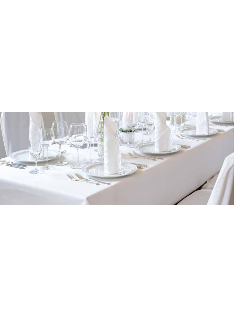 Staltiesė 1,18x25 m dsilk Linea white rulone