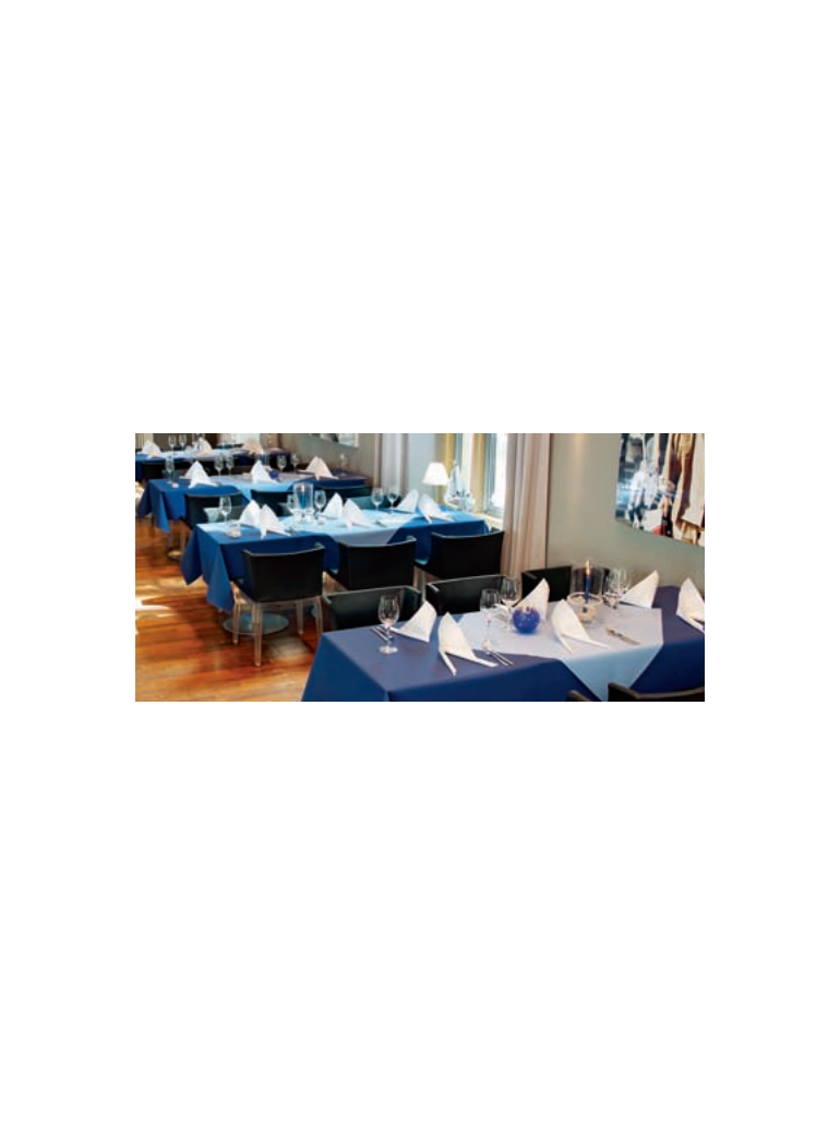 Staltiesė 1,20x25 m dsilk Linea d blue rulone