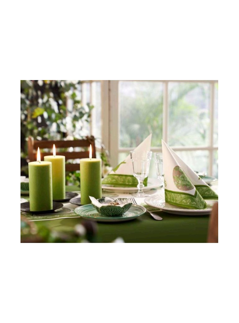 Staltiesė 1,20x25 m dsilk Linea kiwi rulone