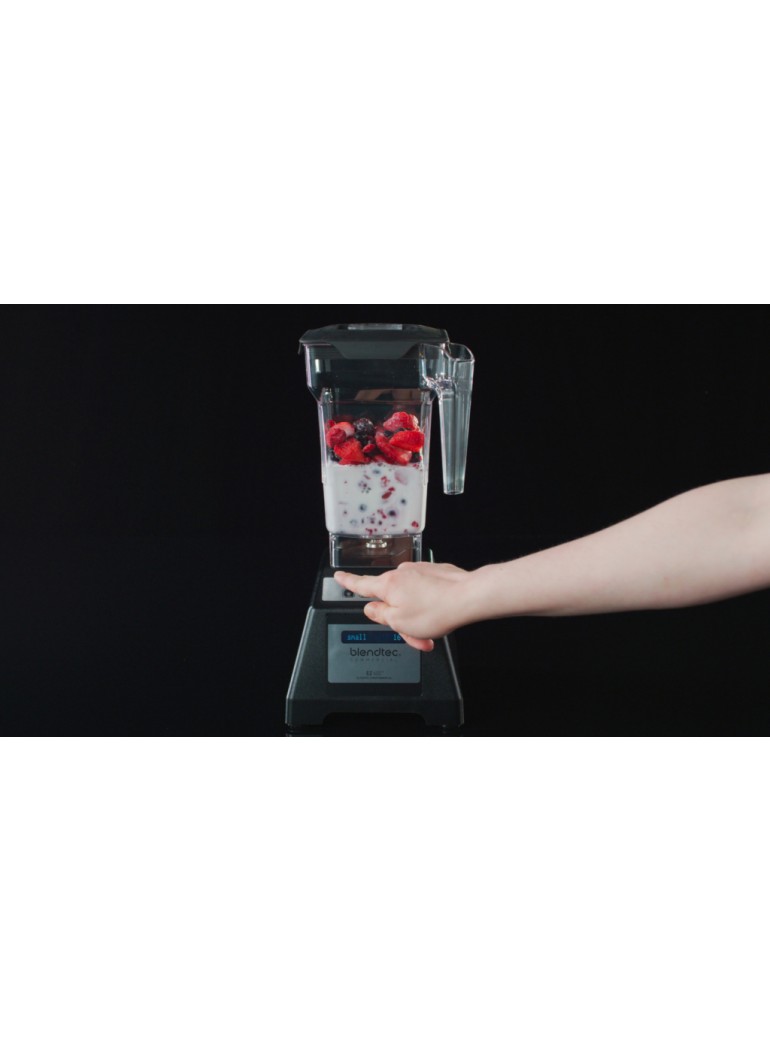 Blenderis  Blendtec EZ600