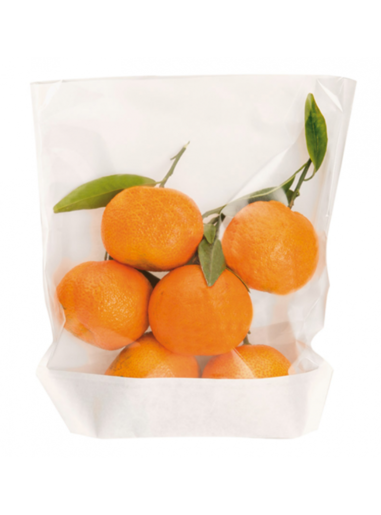 Maišelis 20x24/21x3,5 cm. pop. turtle baltas/skaidrus (100)