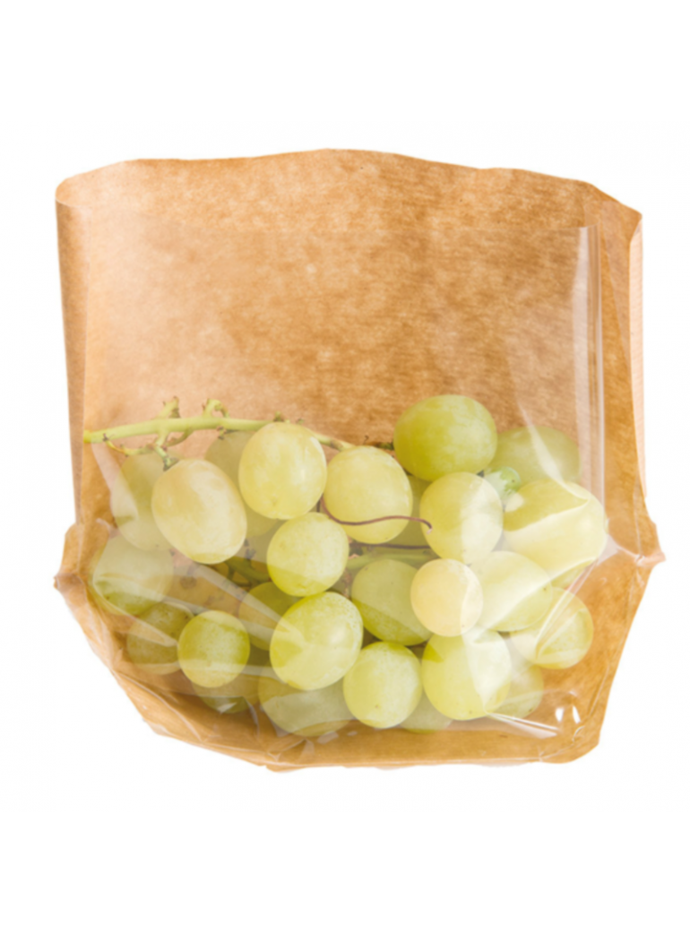 Maišelis 20x15x4 cm. pop. turtle rudas/skaidrus (100)