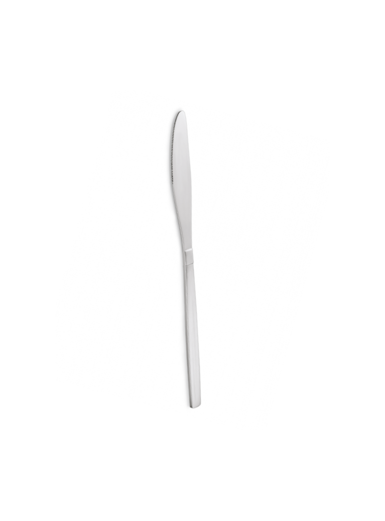 Table knife 21 cm