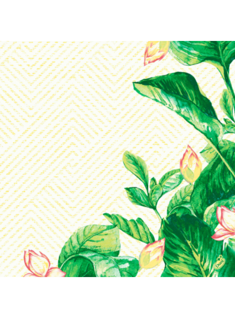 Napkin DUNISOFT BANAS 40x40 cm (1 pc.)