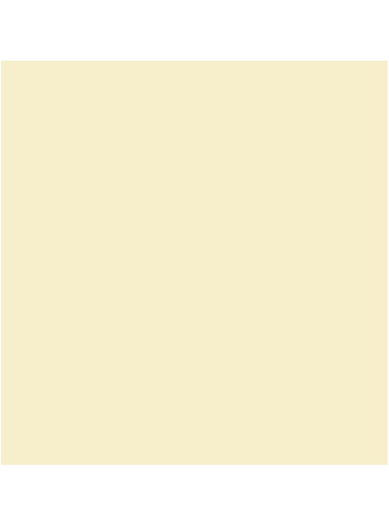 Servetėlės 24 cm 2 sl, Cream (300)