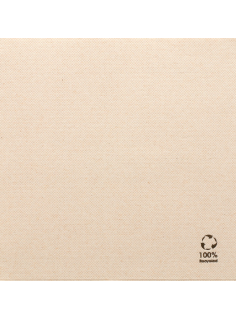 Napkins DOUBLE POINT, ECO, 39 cm, (50 pcs.)