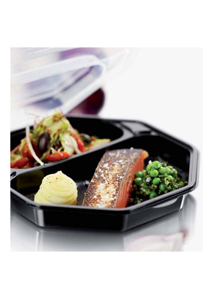 Vienk. dėžutė 580/280 ml, 2 dalių Octaview