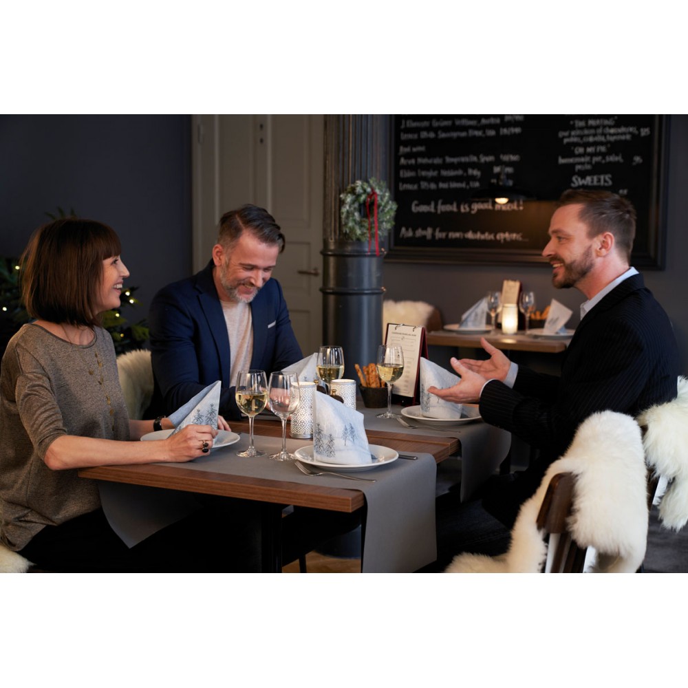 Staltiesė DUNICEL Evolin 0,4 x 24 m. (rulone)