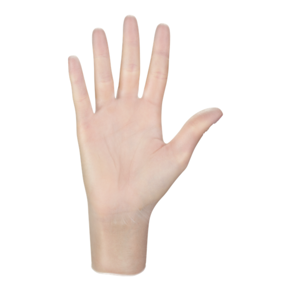 Vinyl gloves (size L, 100 pcs.) Vinyl gloves (size L, 100 pcs.)