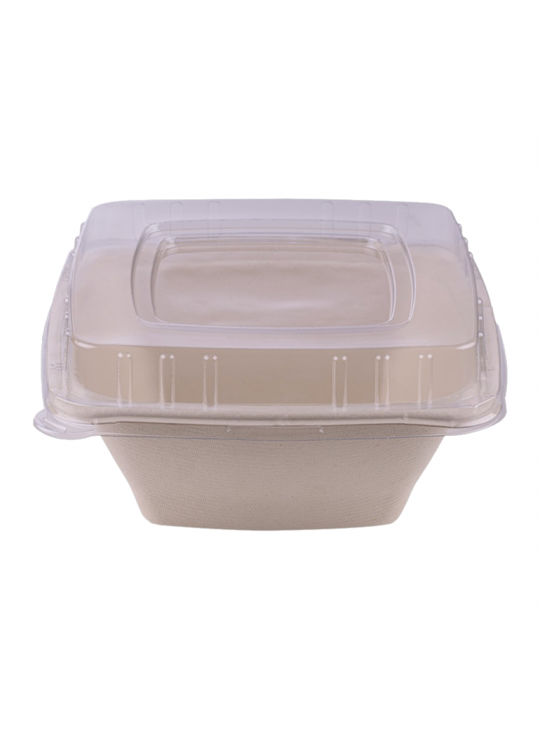 Vienkartinis keturkampis dubenėlis iš cukranendrių (950 ml., 18 x 18 x h7 cm., 50 vnt.)