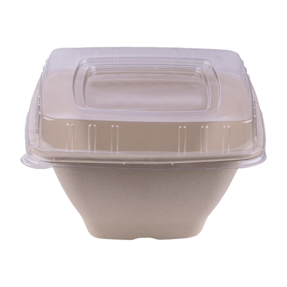 Vienkartinis keturkampis dubenėlis iš cukranendrių (1250 ml., 18 x 18 x h9 cm., 50 vnt.)