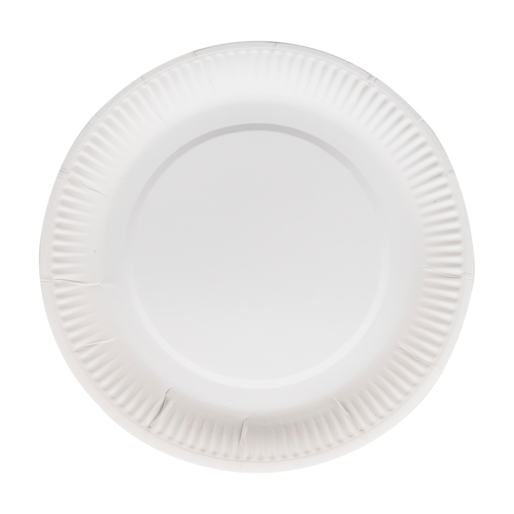 Disposable plate Clay...