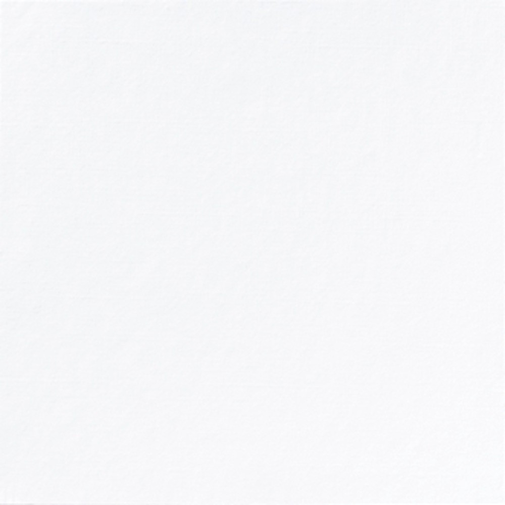 Napkins white AIRLAID 40x40...