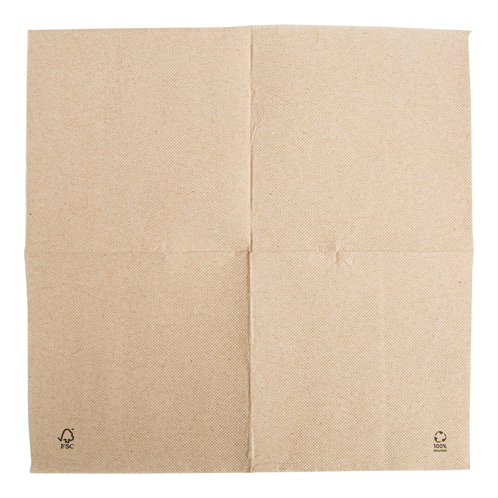 Servetėlės DOUBLE POINT, 30 cm., eco-rudos, 50 vnt.