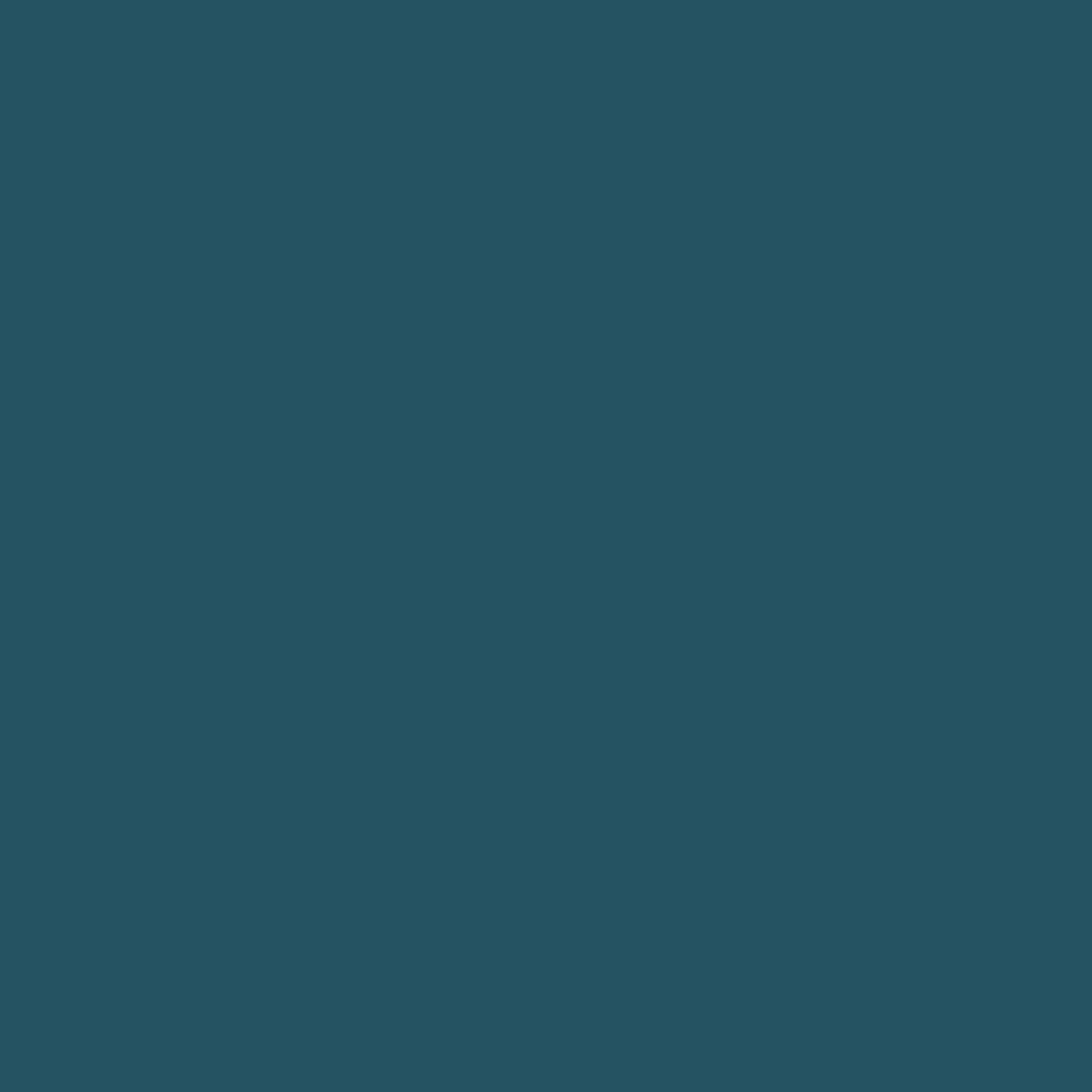 Napkins 2 layers, 33 cm., Ocean Teal (125 pcs.)