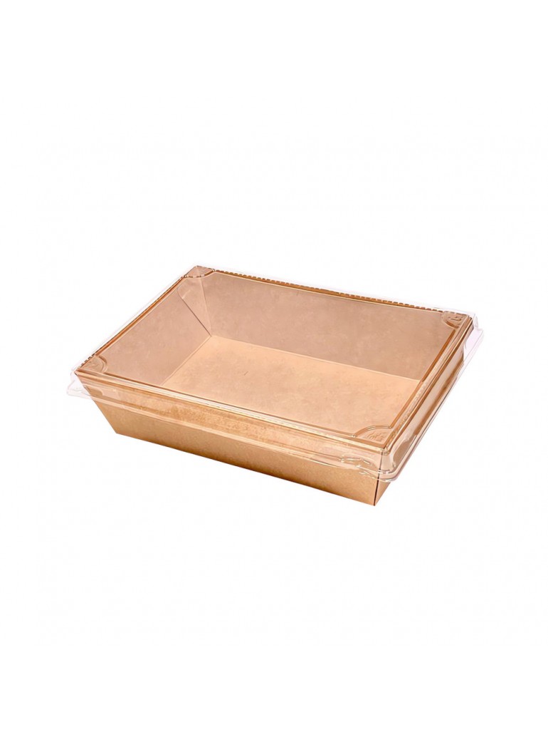 Vienkartinis popierinis indelis (1250 ml., 20x14xh5 cm., 50 vnt.)