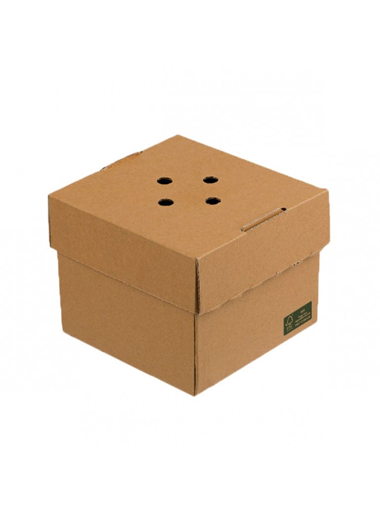 Vienkartinis indelis mikrokartono (12 x 12 x h10 cm., 100 vnt.)