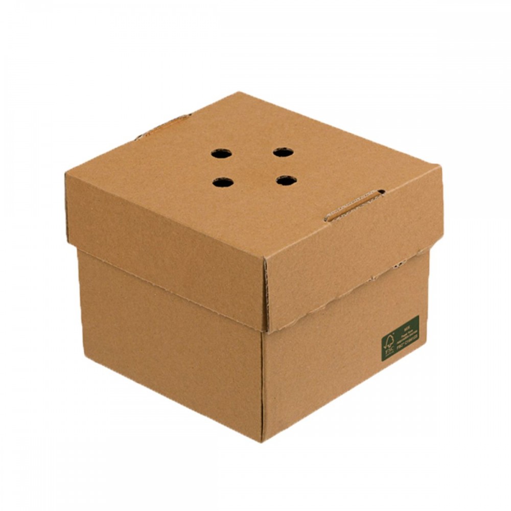 Vienkartinis indelis mikrokartono (12 x 12 x h10 cm., 100 vnt.)