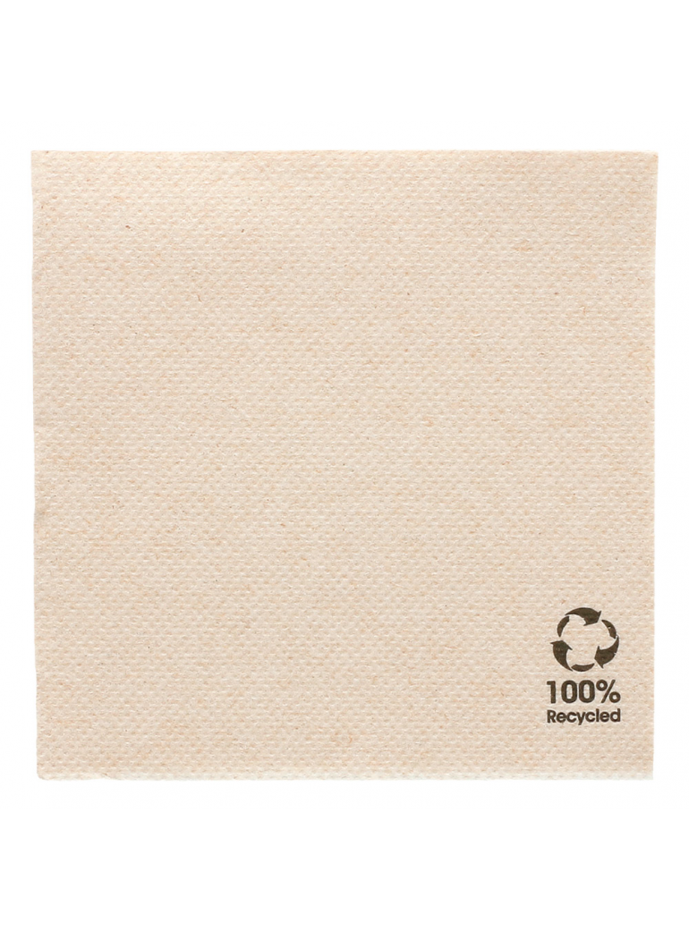 Servetėlės DOUBLE POINT, 20 x 20 cm., rudos, eko, 100 vnt.