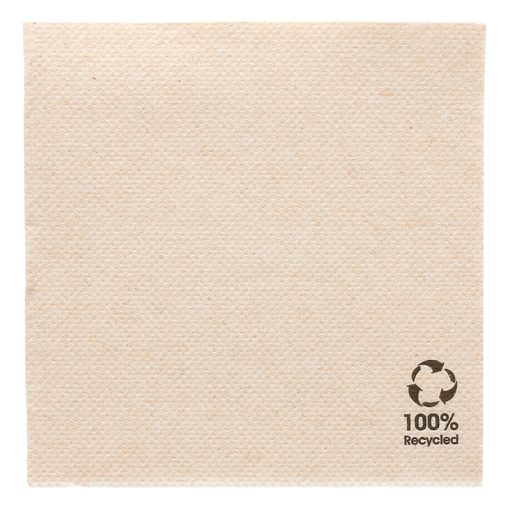 Servetėlės DOUBLE POINT, 20 x 20 cm., rudos, eko, 100 vnt.
