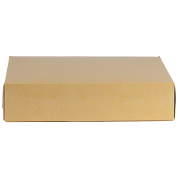 Disposable paper box with foil inside (30 x 23.5 x h7 cm., 100 pcs.)
