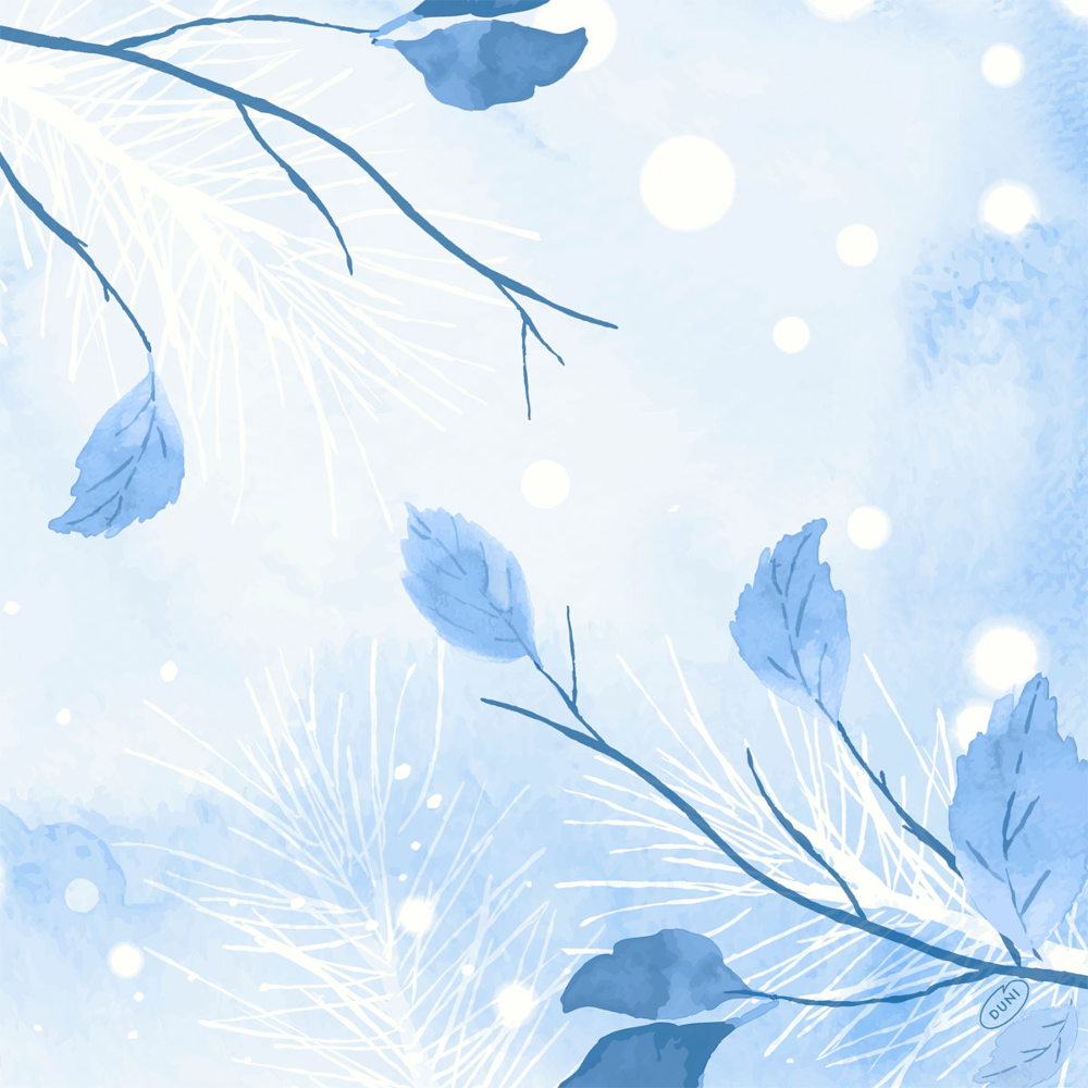 Napkin 40 x 40 cm. Bio Dunisoft Frosted Winter (1 pc.)