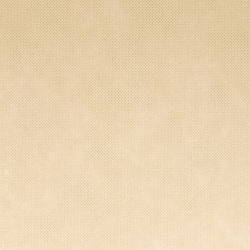 Staltiesė kreminė 1,20 x 50,4 m.