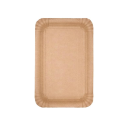 Vienkartinės lėkštės popierinės (18 x 24 cm., 500 vnt.)