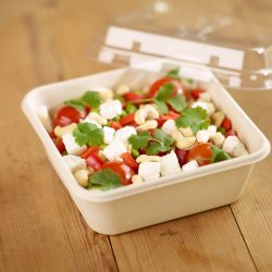 Vienkartinė dežutė iš cukranendrių (900 ml., 15 x 15 x h5,3 cm., 40 vnt.)