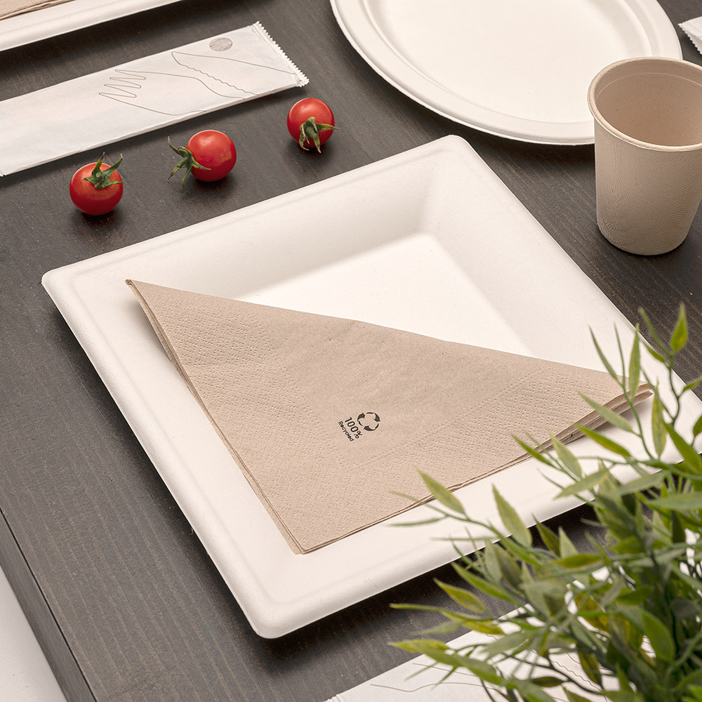 Vienkartinės lėkštės Bionic 20 x 20 cm., 50 vnt.