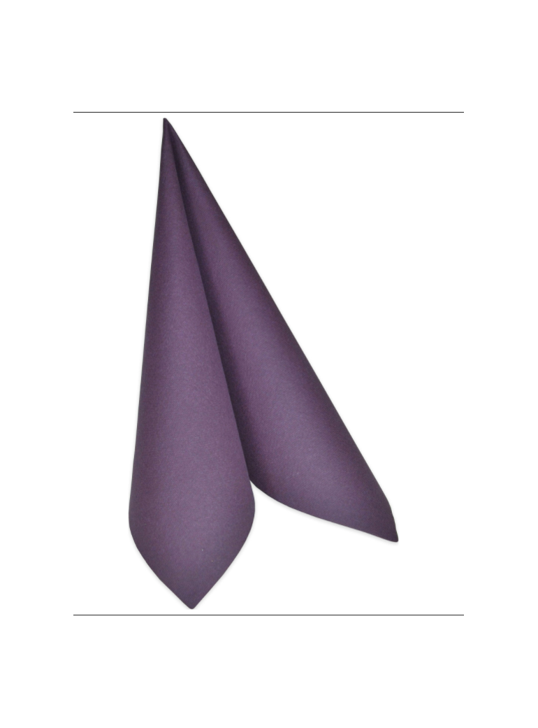 copy of Napkin DUNILIN PLUM 40x40 cm (1 pc.)