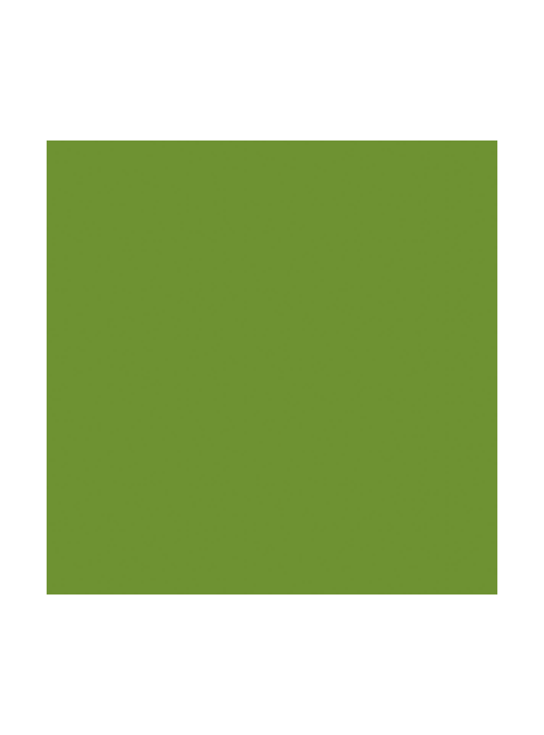 Servetėlė 40x40 cm Dunisoft Leaf green (60)