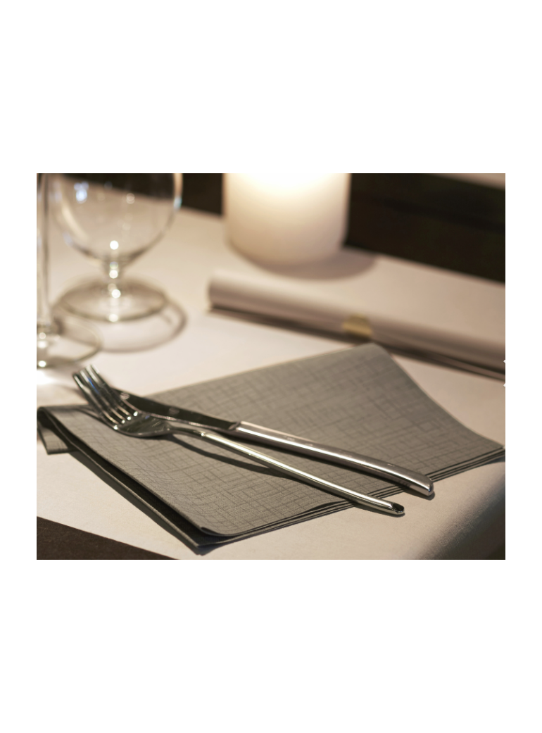 copy of Napkin DUNILIN GREIGE 40x40 cm (1 pc.)