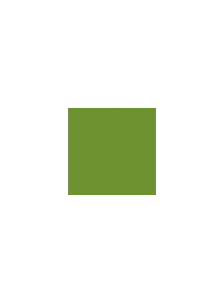 copy of Napkin BIO DUNISOFT Leaf Green 40 x 40 cm. (1 pc.)
