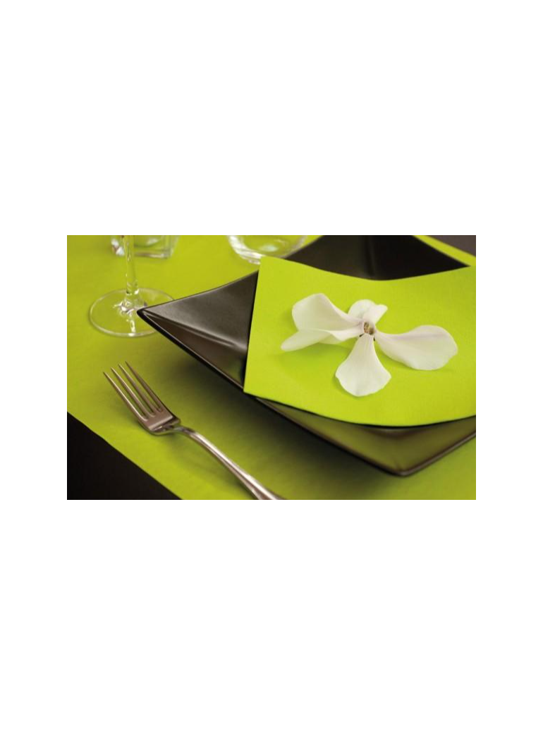 Servetėlė 40x40 cm Dunilin Kivi  (45)