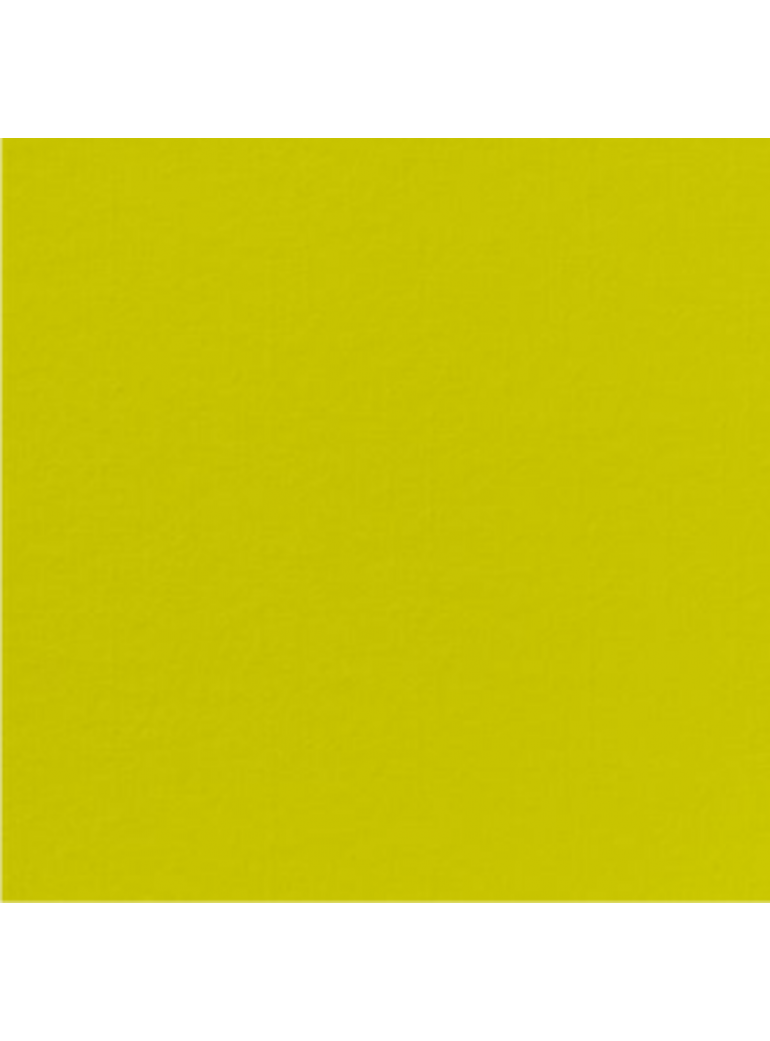 Servetėlė 40x40 cm Dunilin Kivi  (45)