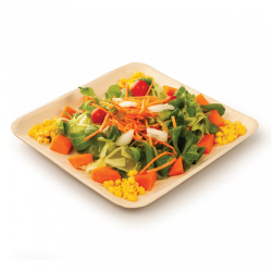 Vienkartinė lėkštė „ARECA“ (palmių lapų, 18 x 18 x 1,5 cm., 25 vnt.)