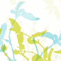 Servetėlė 40x40 cm Bio Dunisoft Elise (60)