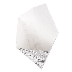 Vienkartinė dėžutė THEPACK trikampė bulvytėms Times 250 g., 200 vnt.