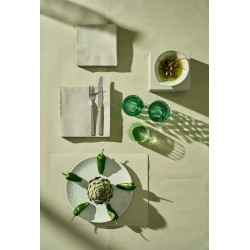 Servetėlės 40 x 40 cm. bio dunisoft pistachio žalios (60)