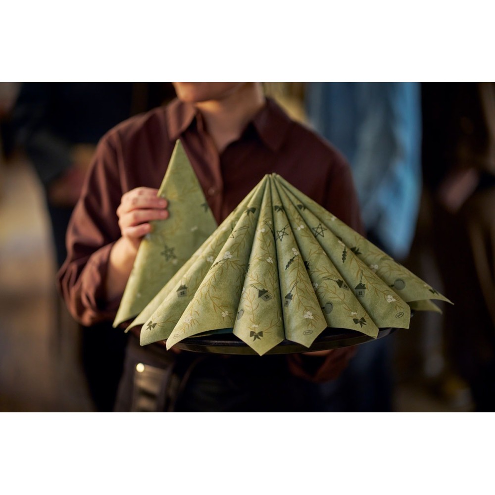 Servetėlės 40 x 40 cm. bio dunisoft noel pistachio (60)