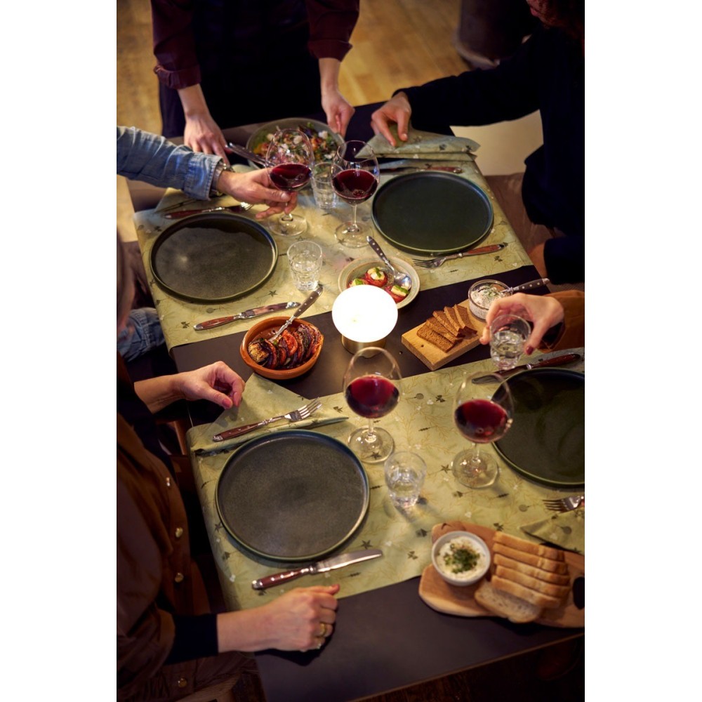 Staltiesė 0,4 x 24 m. bio dunicel tete-a-tete noel pistachio