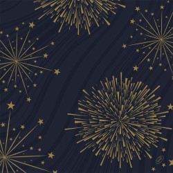 Servetėlės 40 x 40 cm. bio dunisoft sparkly black (60)