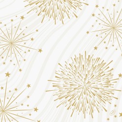 Servetėlės 40 x 40 cm. bio dunisoft sparkly white (60)