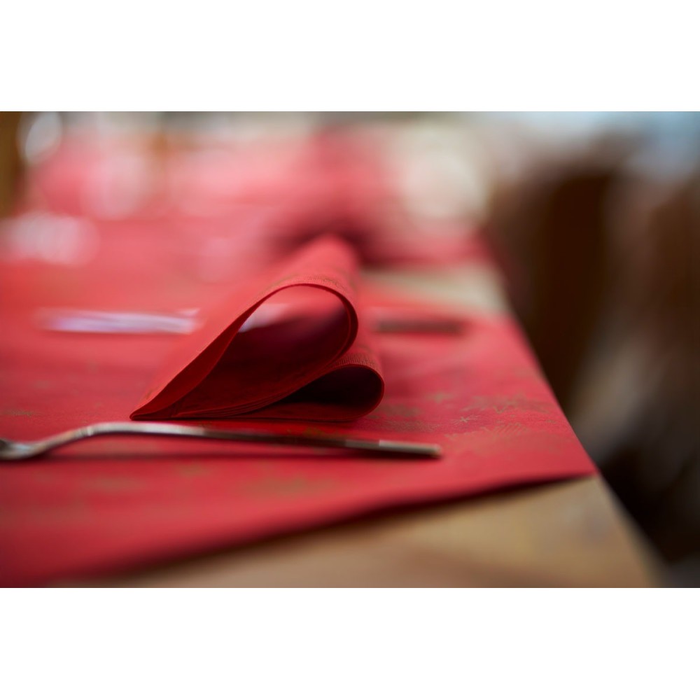 Servetėlės 40 x 40 cm. bio dunisoft stargazing red (60)